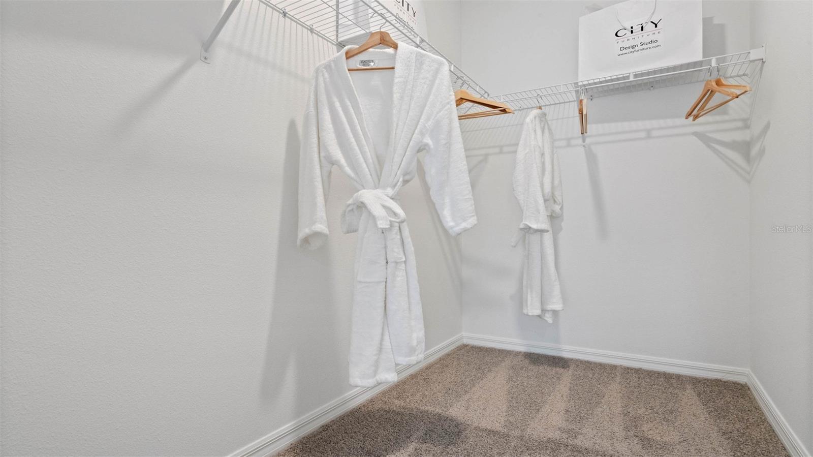 3247 SPINEYWOOD DR, OCOEE, FL, 34761