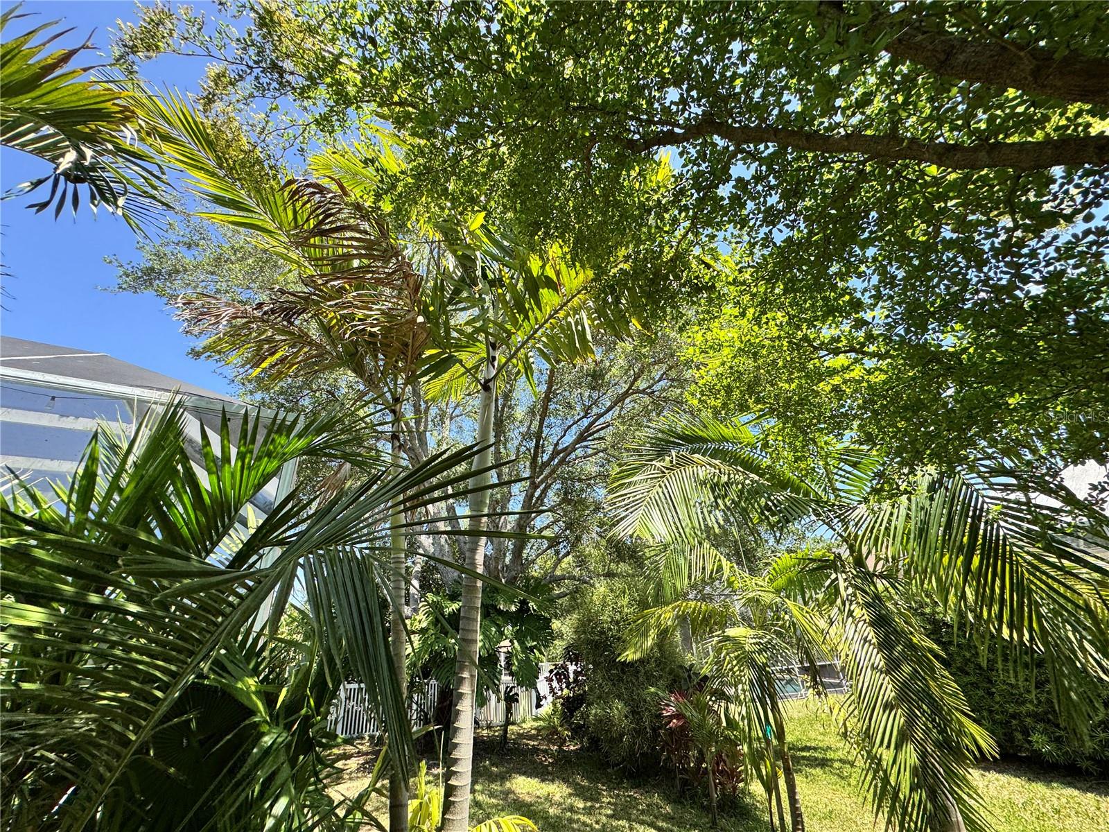 6207 TUPELO TRL, LAKEWOOD RANCH, FL, 34202