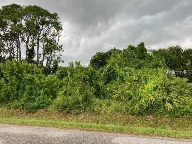 CONRAD RD, VENICE, FL, 34293