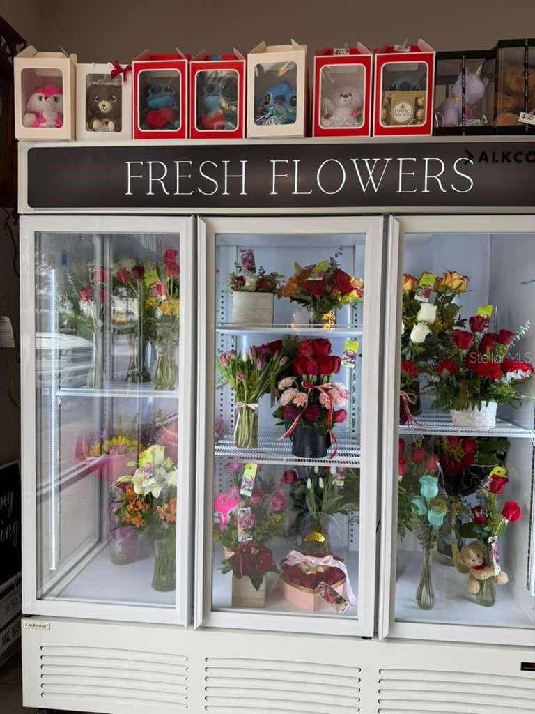 7803 E COLONIAL DR #106, ORLANDO, FL, 32807