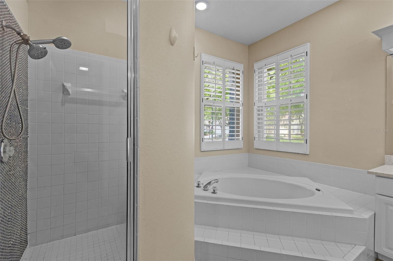 8739 ASHWORTH DR, TAMPA, FL, 33647