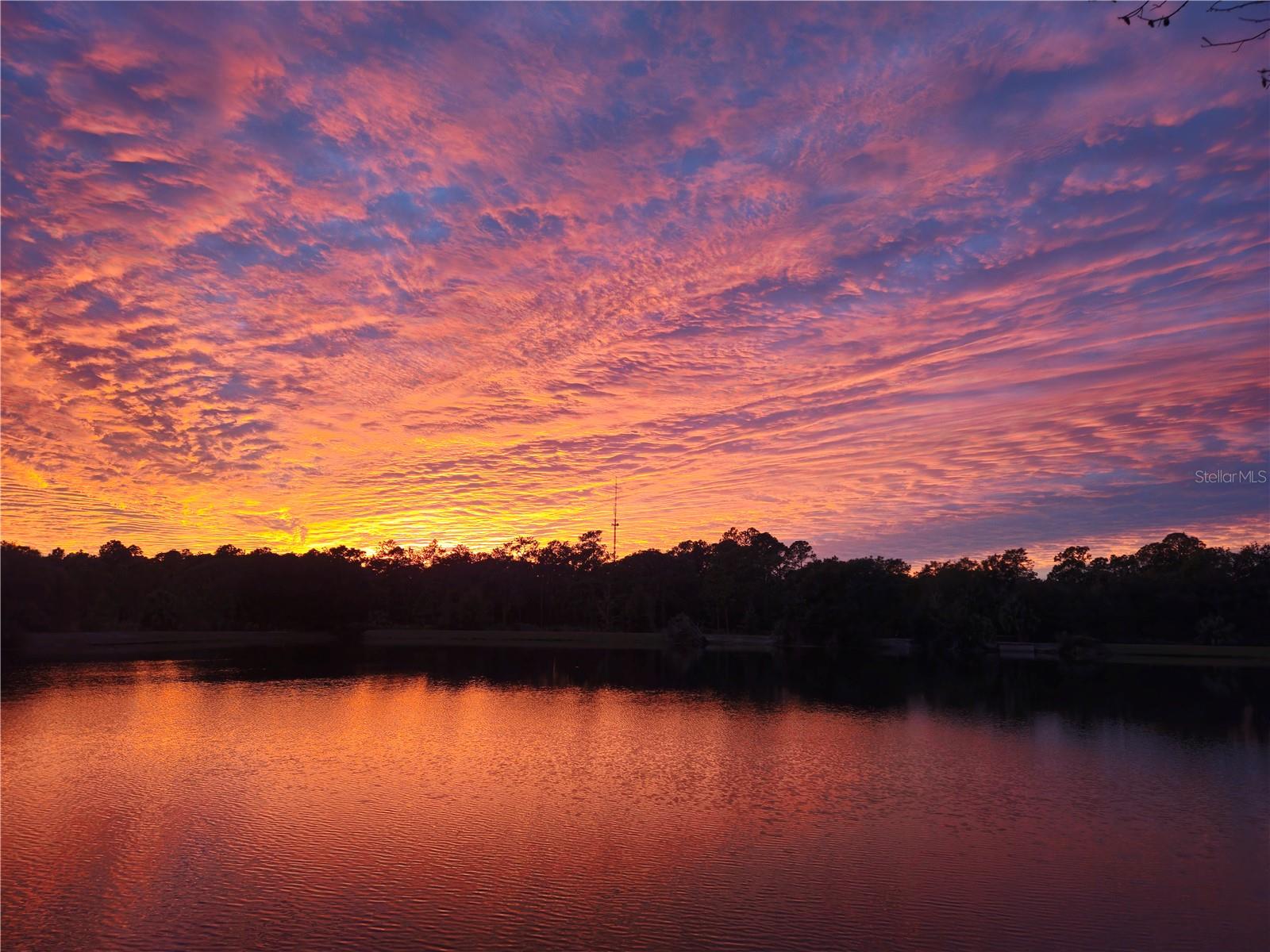 8739 ASHWORTH DR, TAMPA, FL, 33647