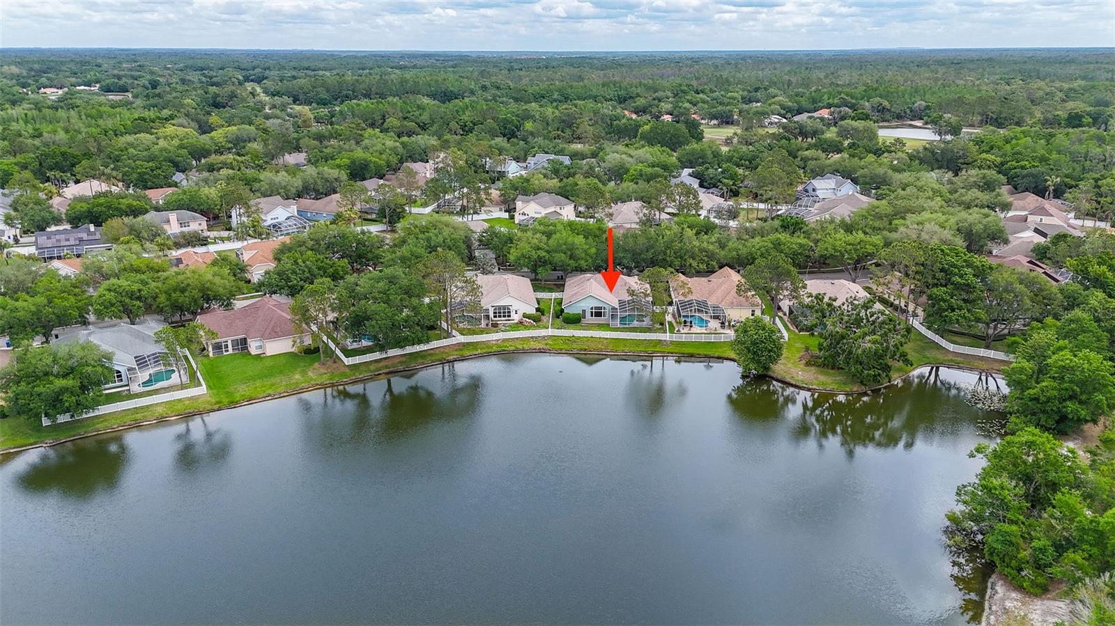 8739 ASHWORTH DR, TAMPA, FL, 33647