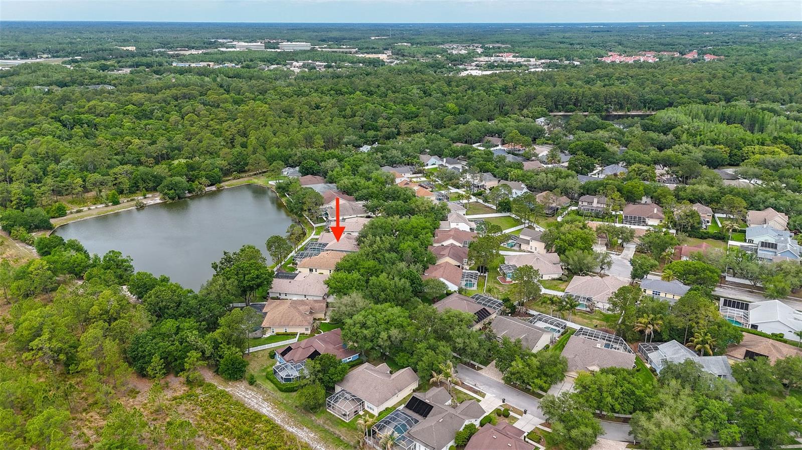 8739 ASHWORTH DR, TAMPA, FL, 33647