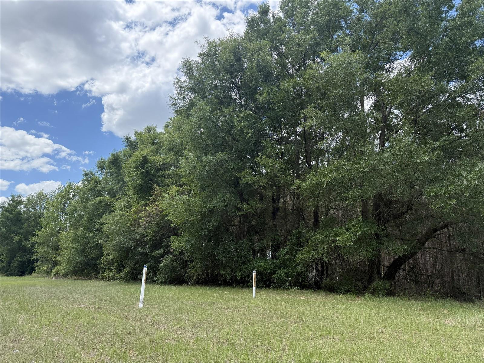 0 NW 140TH ST, CHIEFLAND, FL, 32626