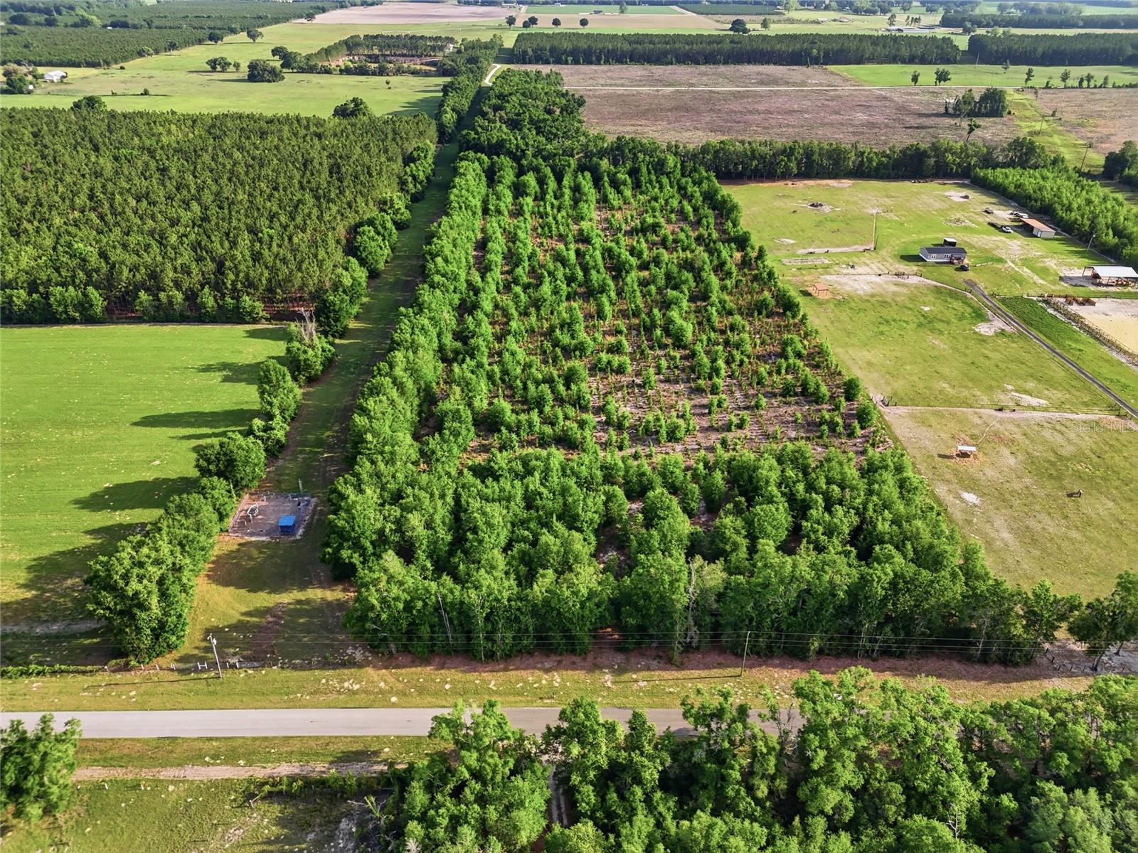 0 NW 140TH ST, CHIEFLAND, FL, 32626