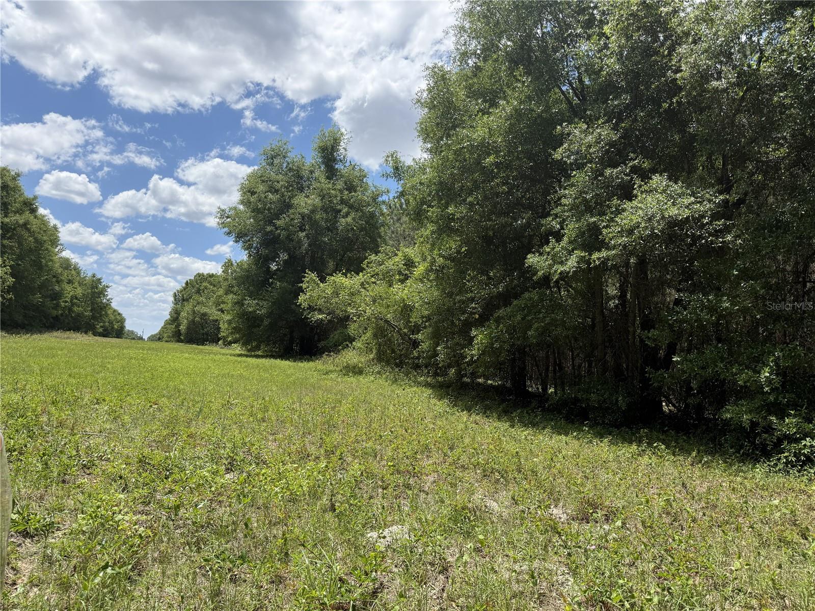 0 NW 140TH ST, CHIEFLAND, FL, 32626
