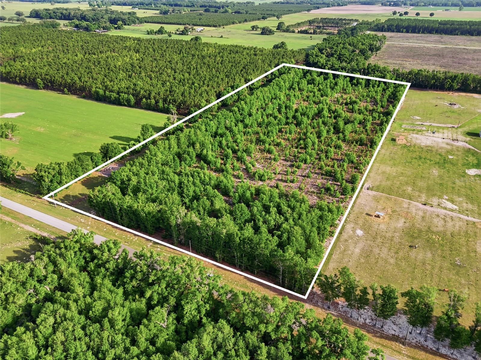 0 NW 140TH ST, CHIEFLAND, FL, 32626