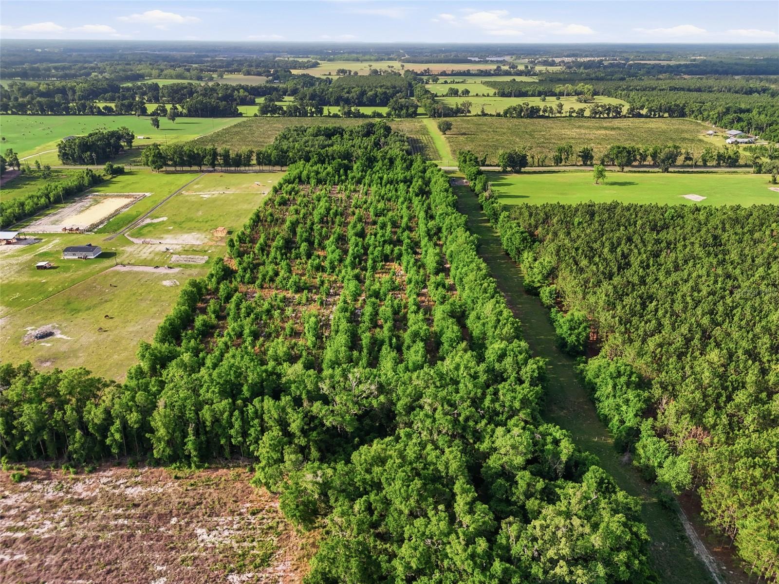 0 NW 140TH ST, CHIEFLAND, FL, 32626