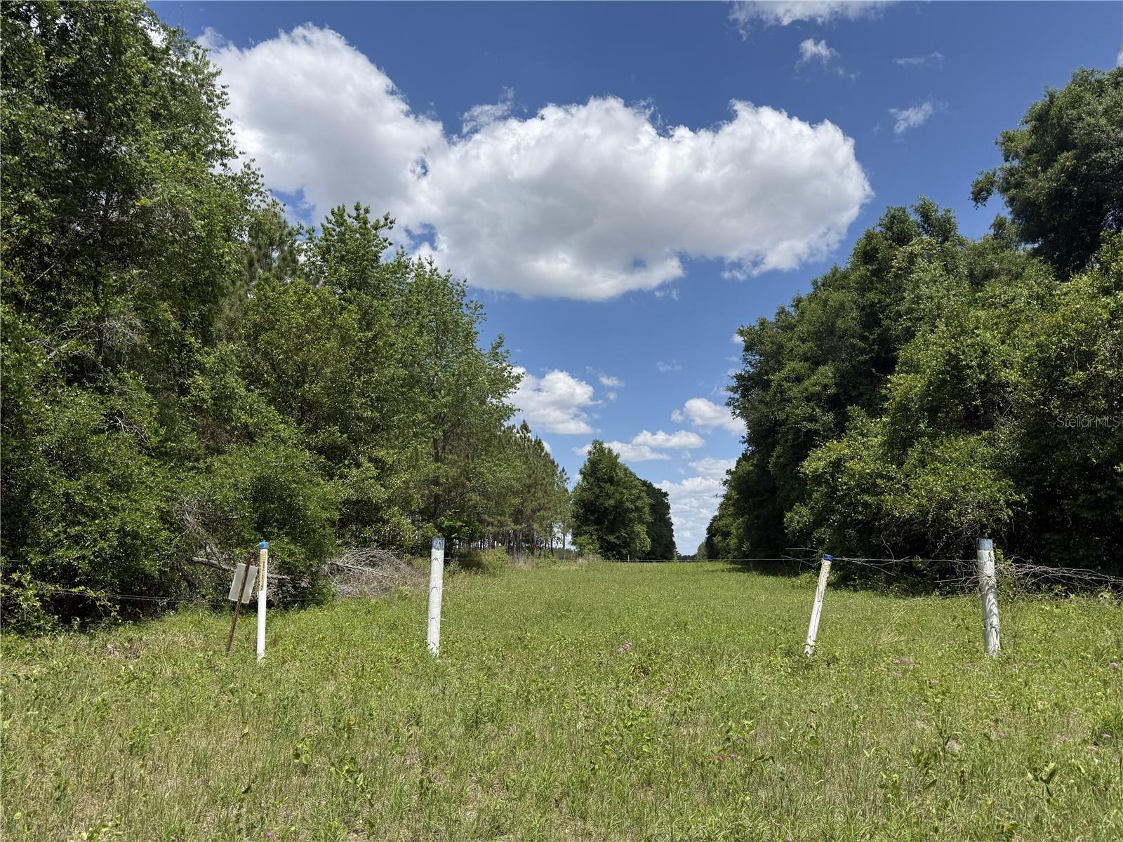 0 NW 140TH ST, CHIEFLAND, FL, 32626
