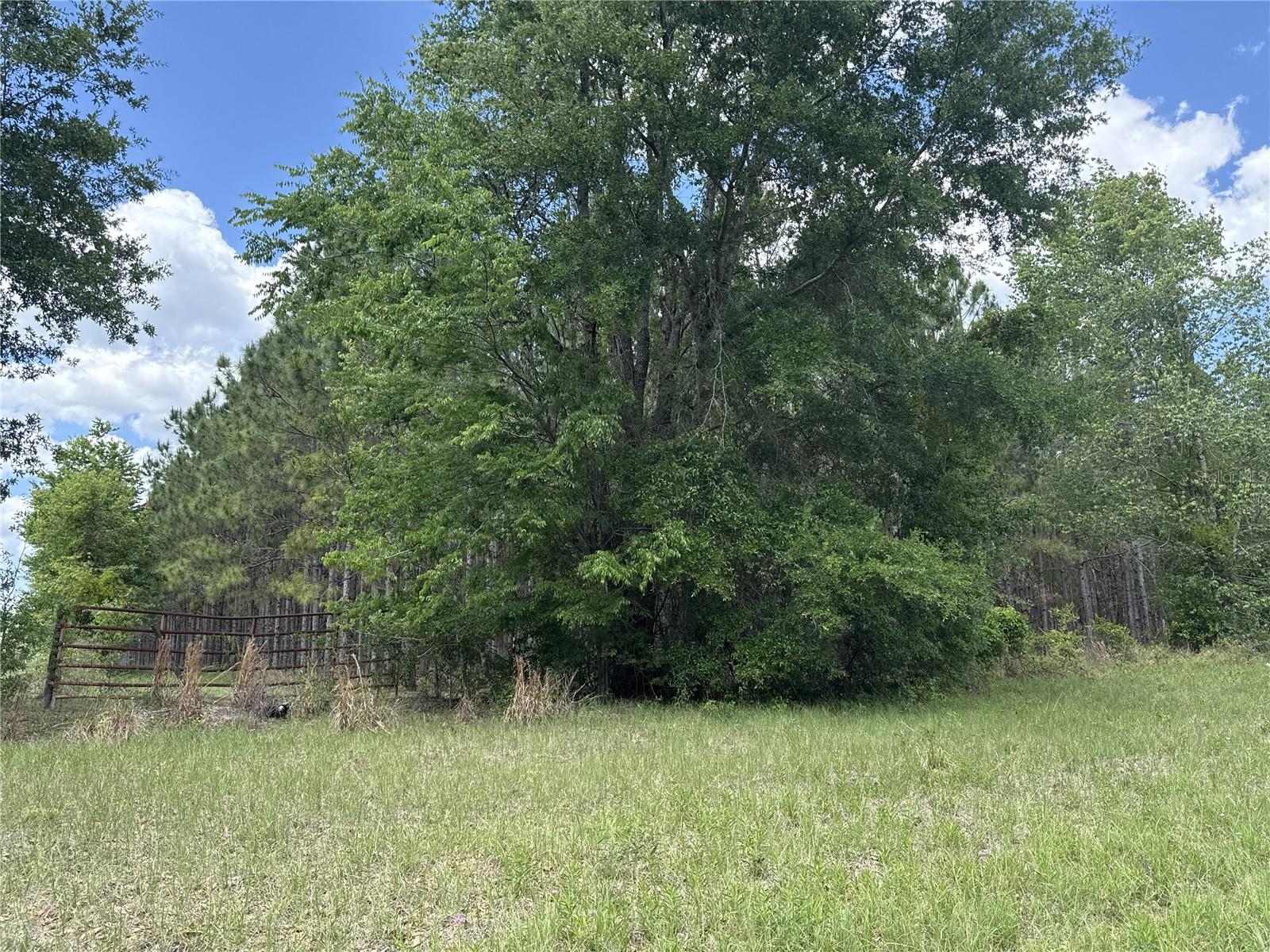 0 NW 140TH ST, CHIEFLAND, FL, 32626
