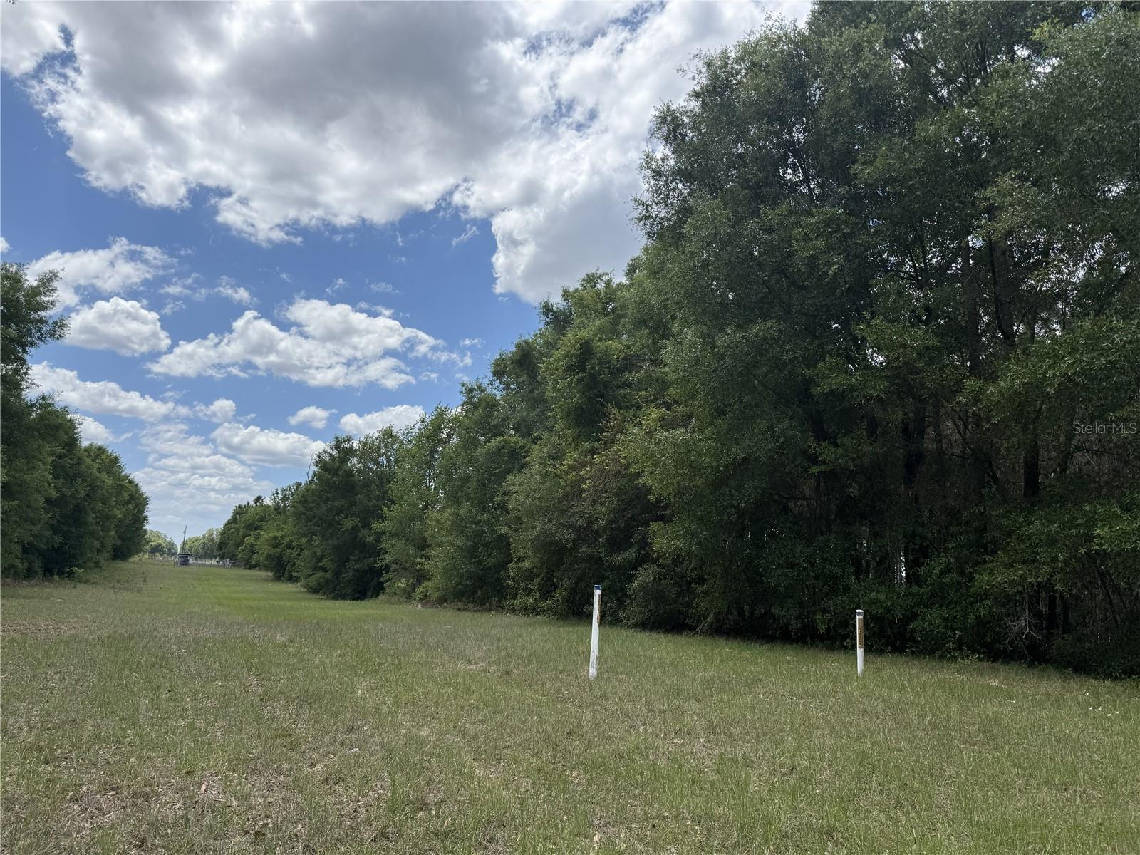 0 NW 140TH ST, CHIEFLAND, FL, 32626