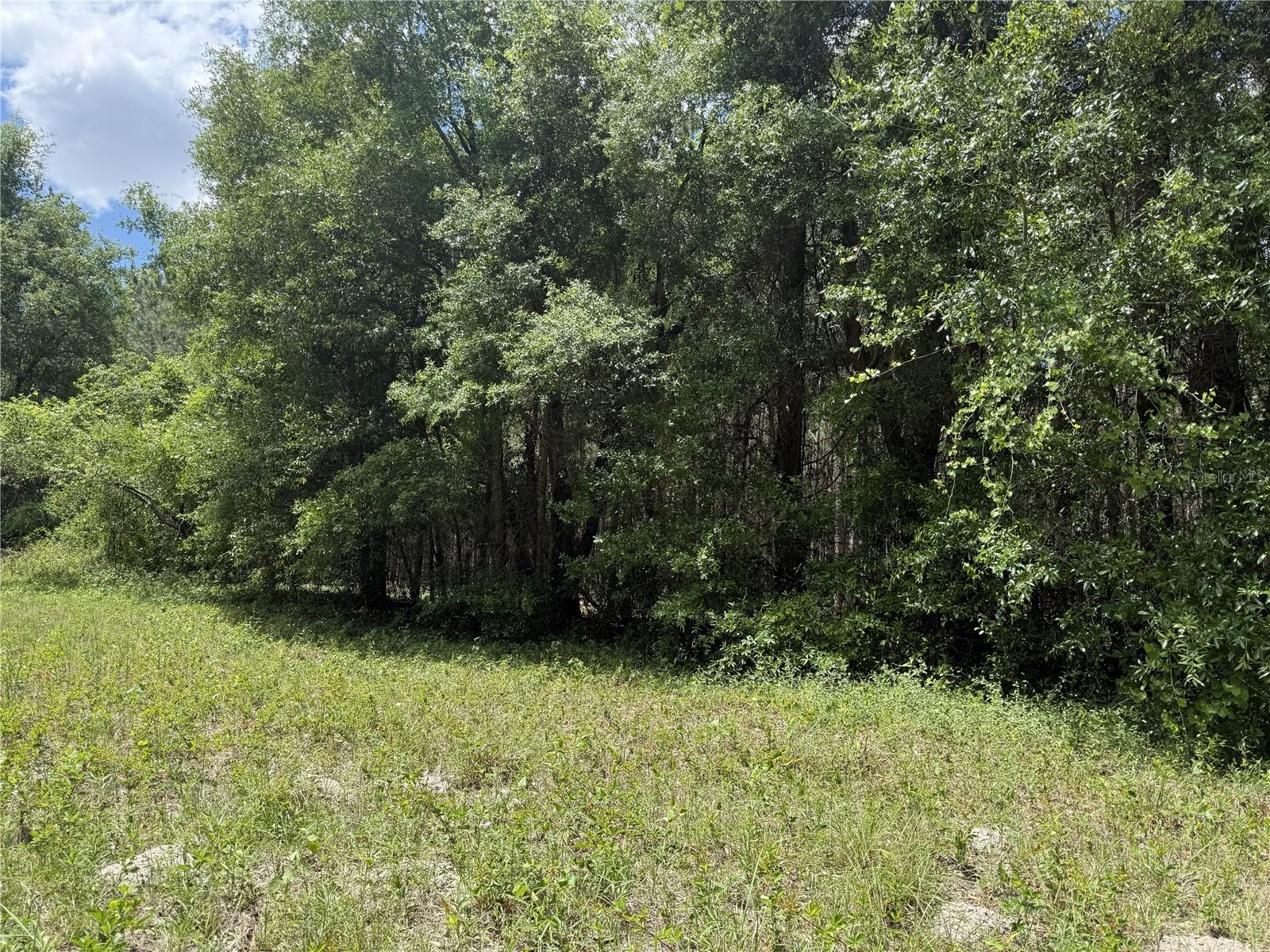 0 NW 140TH ST, CHIEFLAND, FL, 32626
