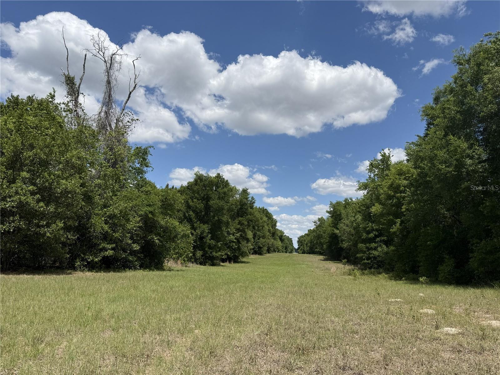 0 NW 140TH ST, CHIEFLAND, FL, 32626