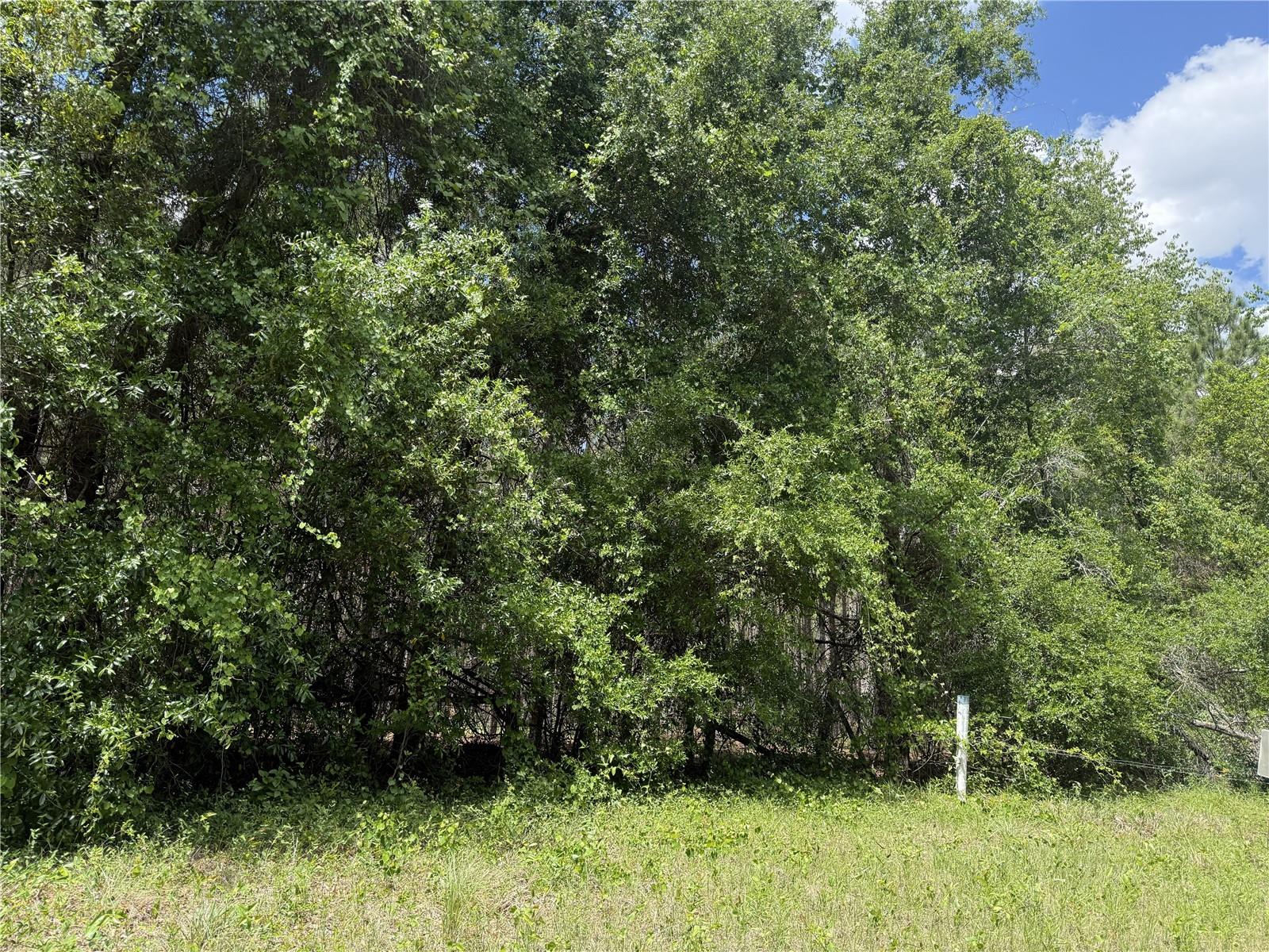 0 NW 140TH ST, CHIEFLAND, FL, 32626