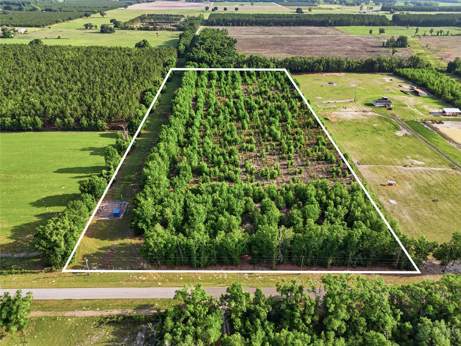 0 NW 140TH ST, CHIEFLAND, FL, 32626
