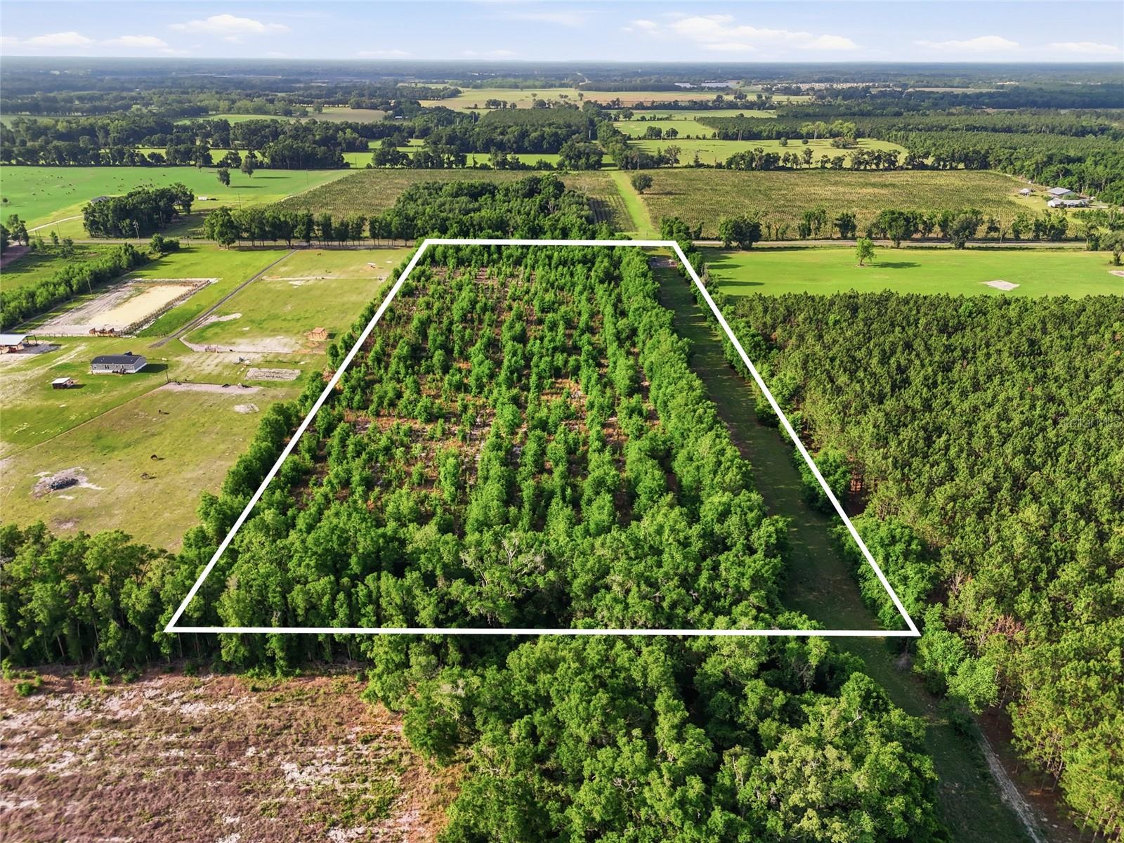 0 NW 140TH ST, CHIEFLAND, FL, 32626