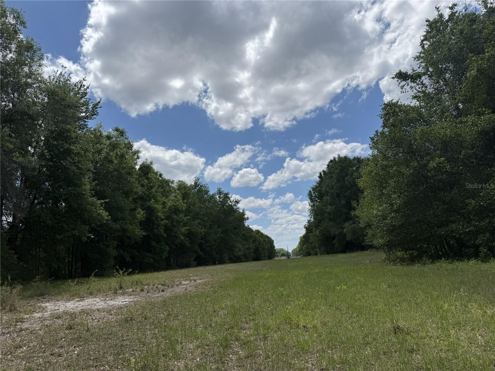 0 NW 140TH ST, CHIEFLAND, FL, 32626