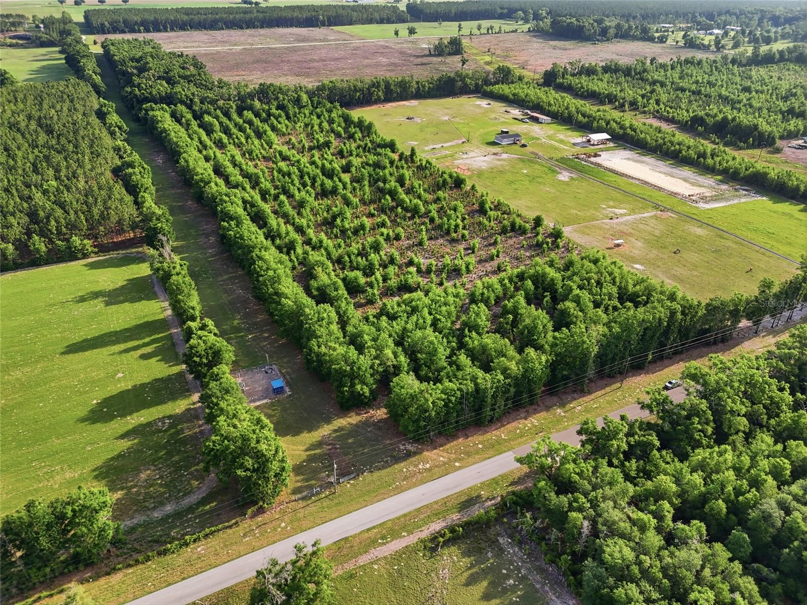 0 NW 140TH ST, CHIEFLAND, FL, 32626