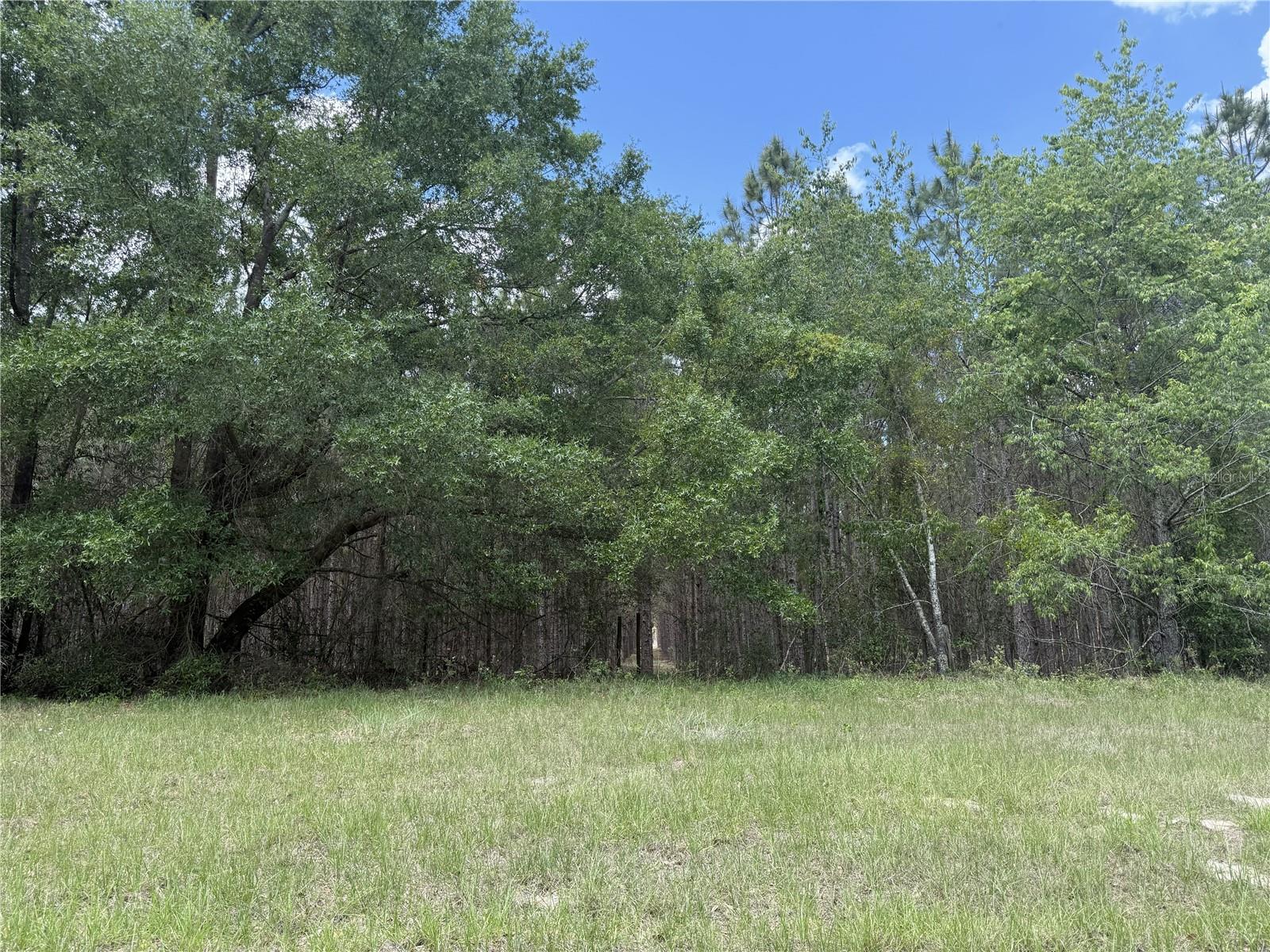 0 NW 140TH ST, CHIEFLAND, FL, 32626