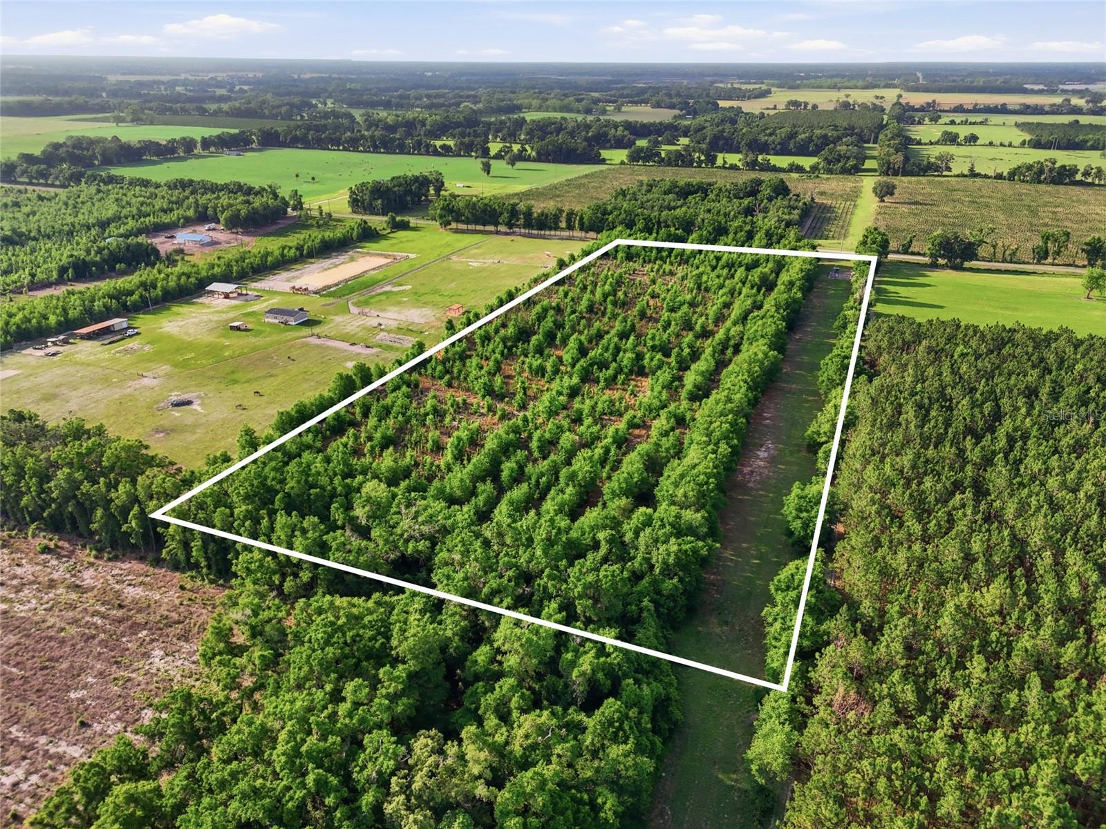0 NW 140TH ST, CHIEFLAND, FL, 32626