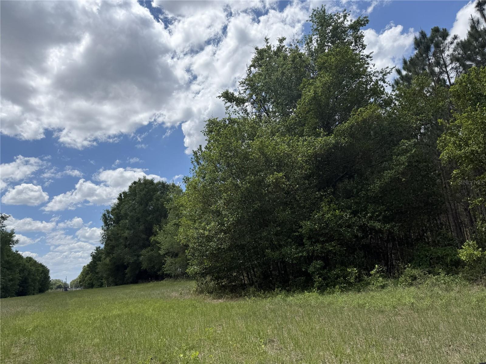 0 NW 140TH ST, CHIEFLAND, FL, 32626