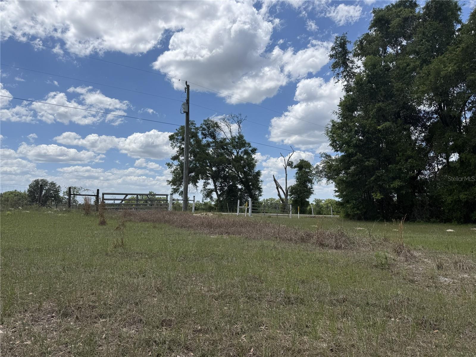 0 NW 140TH ST, CHIEFLAND, FL, 32626