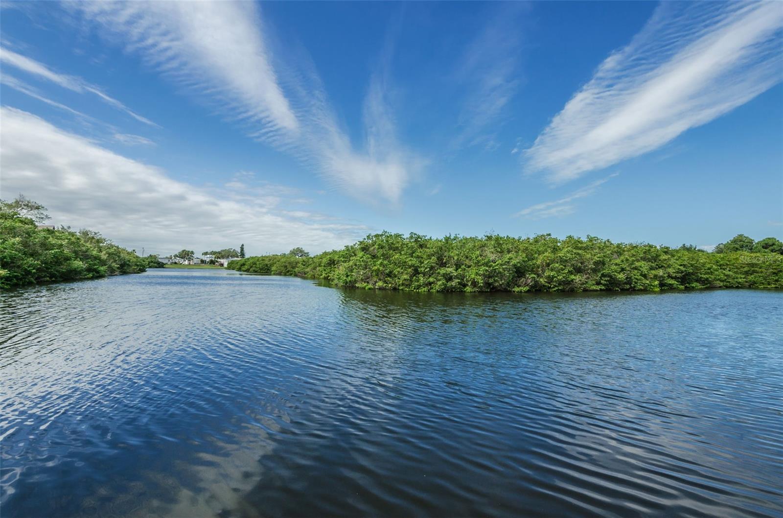 455 ALT 19 S #83, PALM HARBOR, FL, 34683