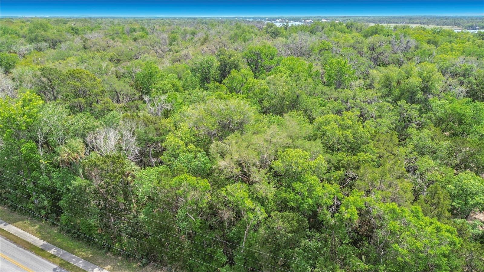 1670 NW 19TH ST, CRYSTAL RIVER, FL, 34428