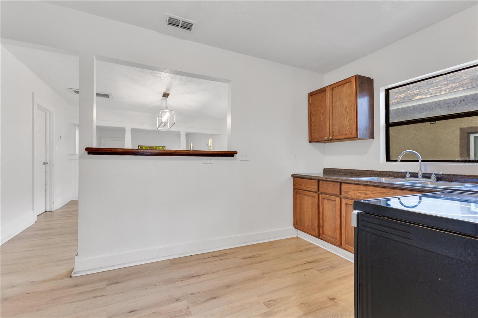 1029 COLYER ST, ORLANDO, FL, 32805