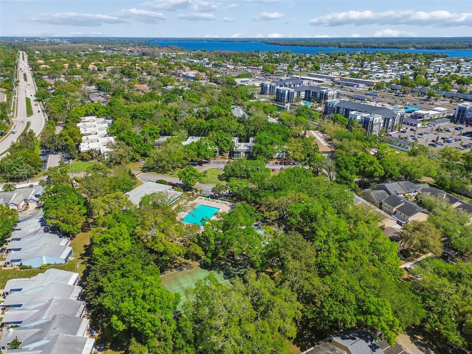 3300 FOX CHASE CIR N #202, PALM HARBOR, FL, 34683