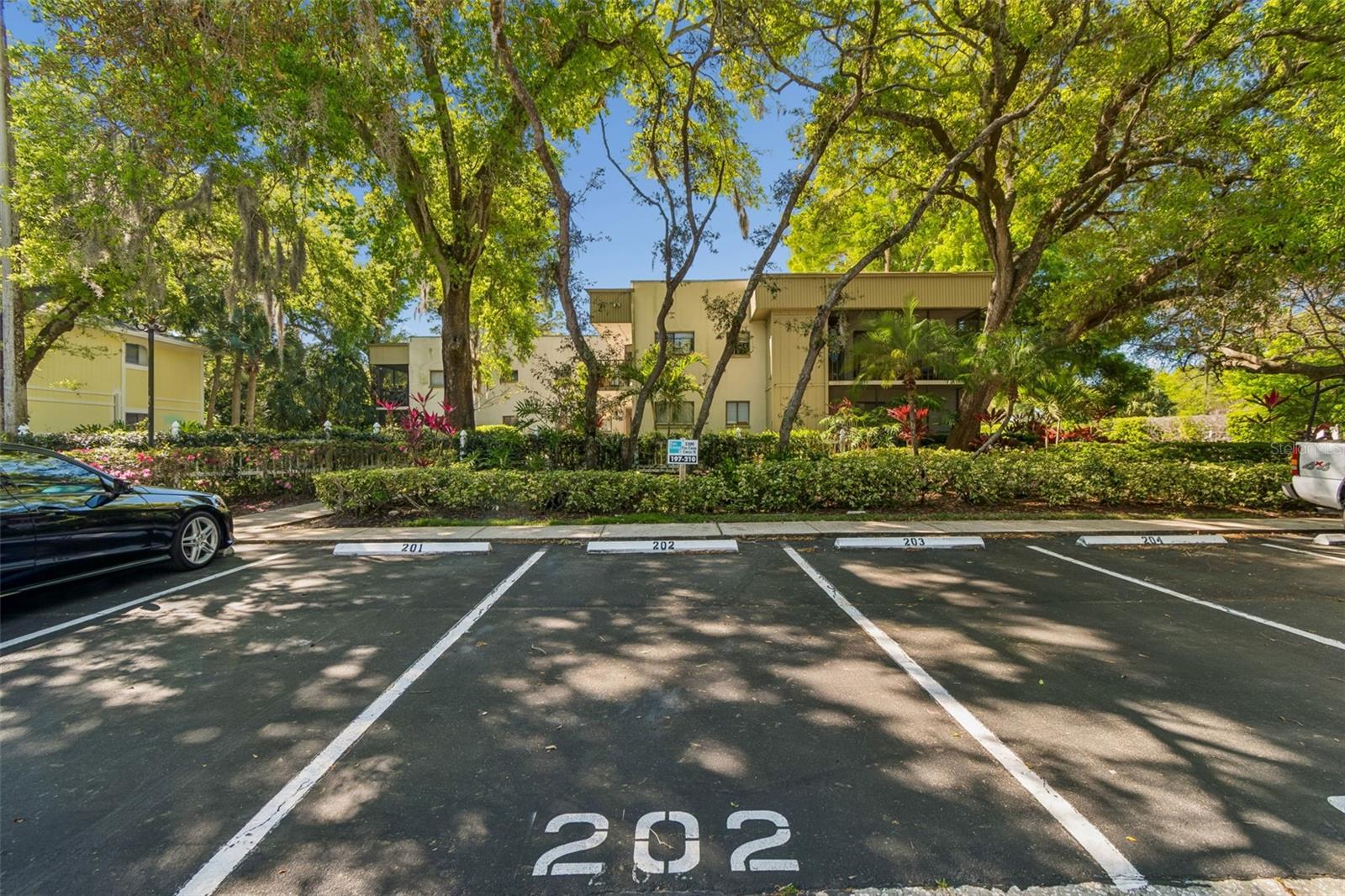 3300 FOX CHASE CIR N #202, PALM HARBOR, FL, 34683