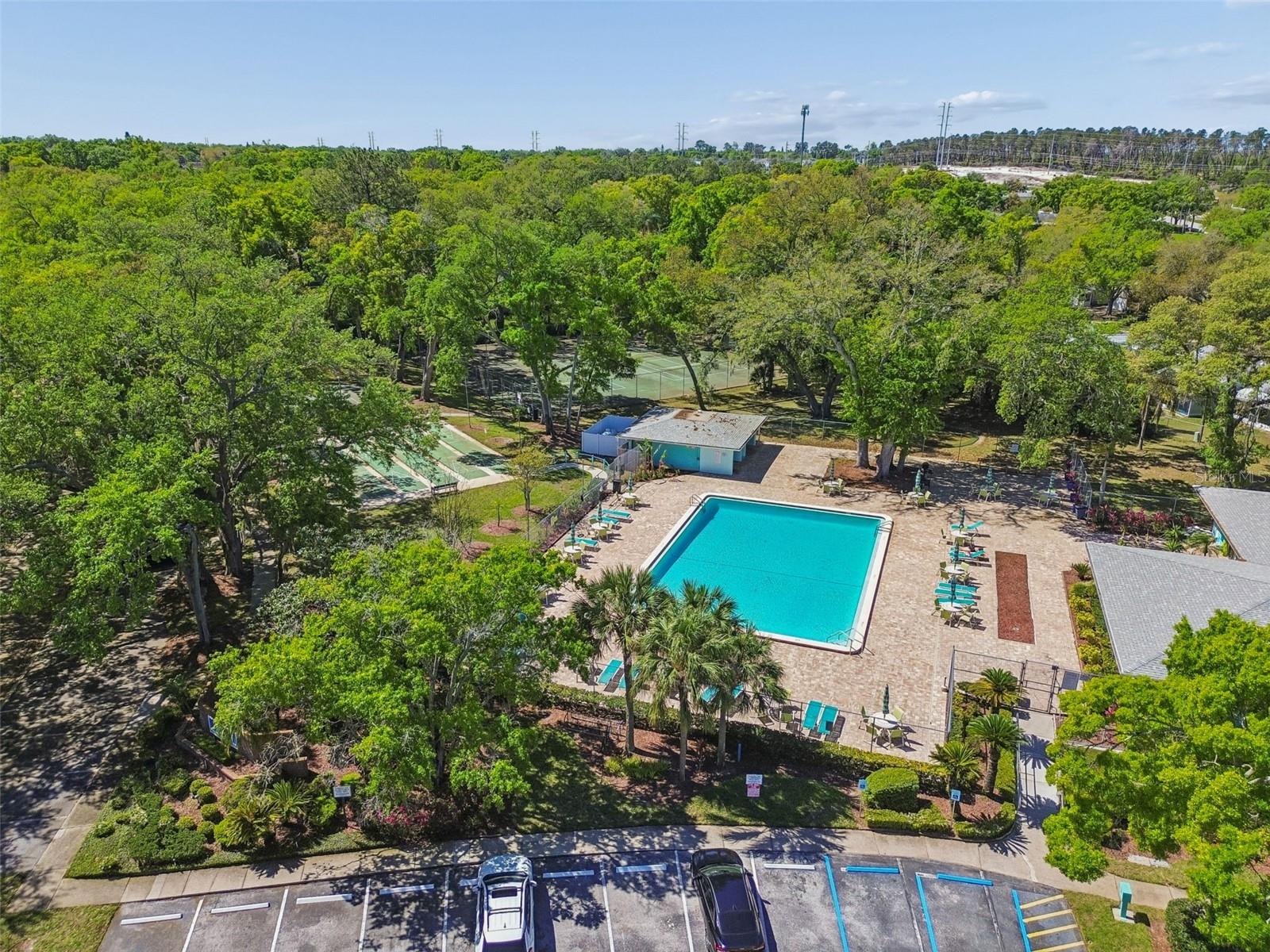 3300 FOX CHASE CIR N #202, PALM HARBOR, FL, 34683