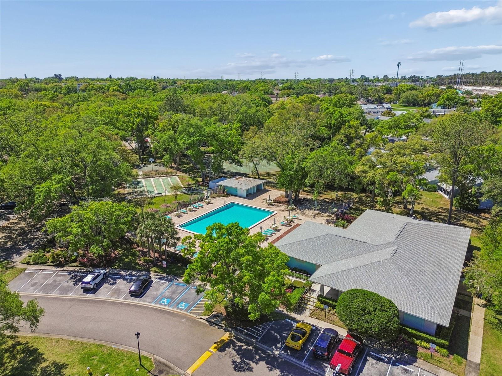 3300 FOX CHASE CIR N #202, PALM HARBOR, FL, 34683