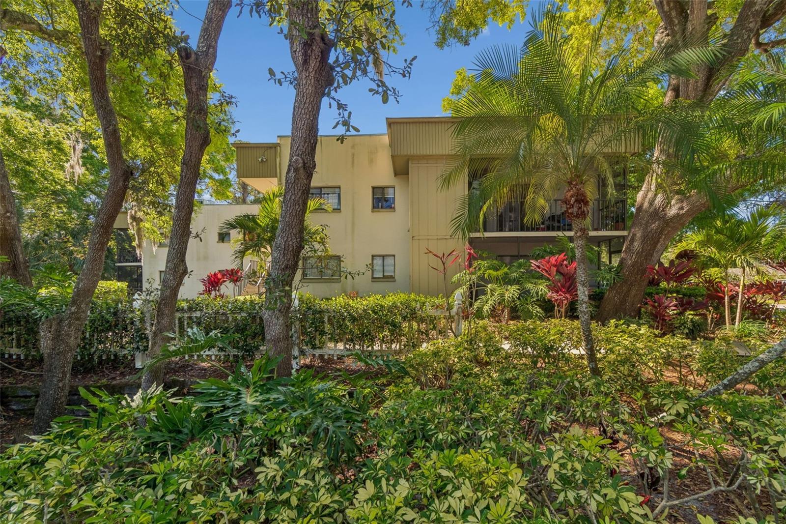 3300 FOX CHASE CIR N #202, PALM HARBOR, FL, 34683