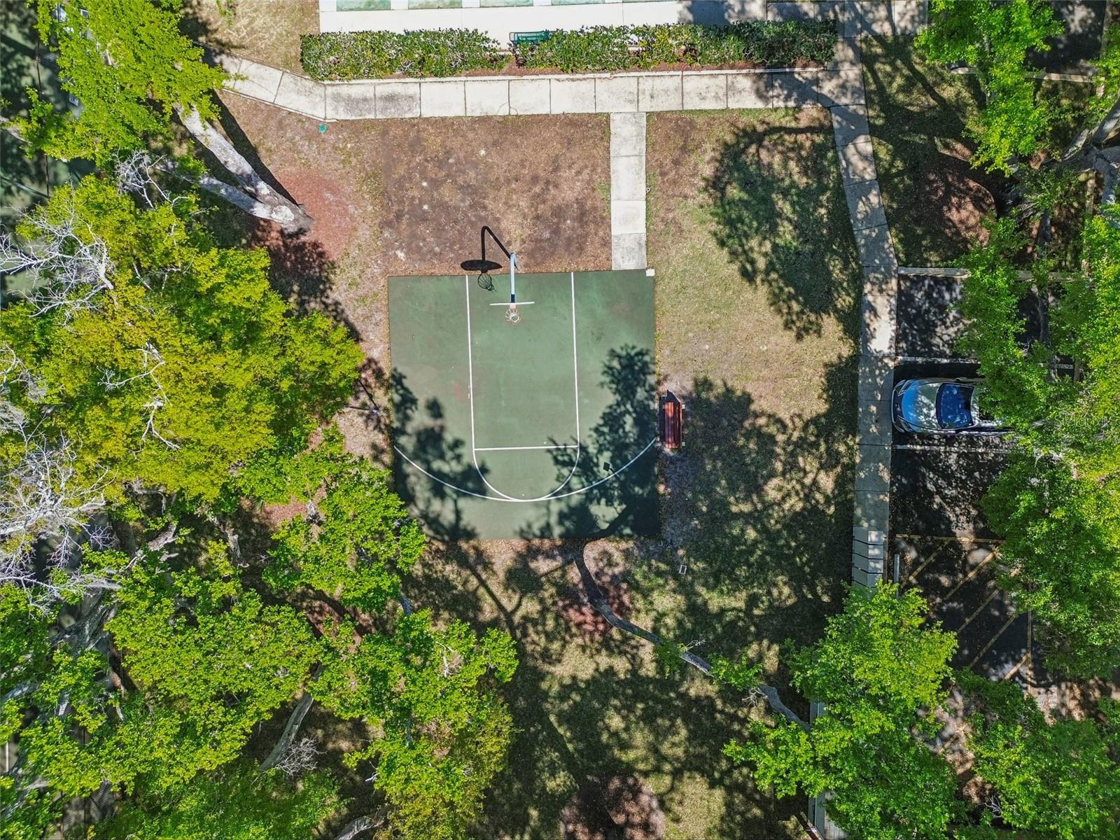 3300 FOX CHASE CIR N #202, PALM HARBOR, FL, 34683