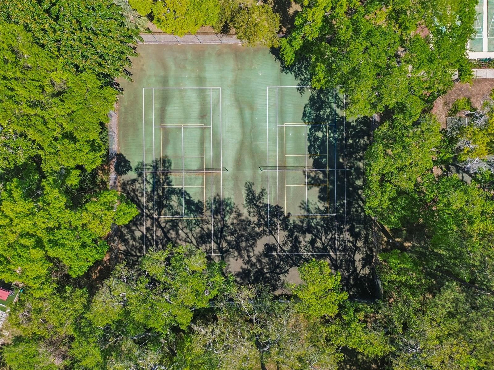 3300 FOX CHASE CIR N #202, PALM HARBOR, FL, 34683