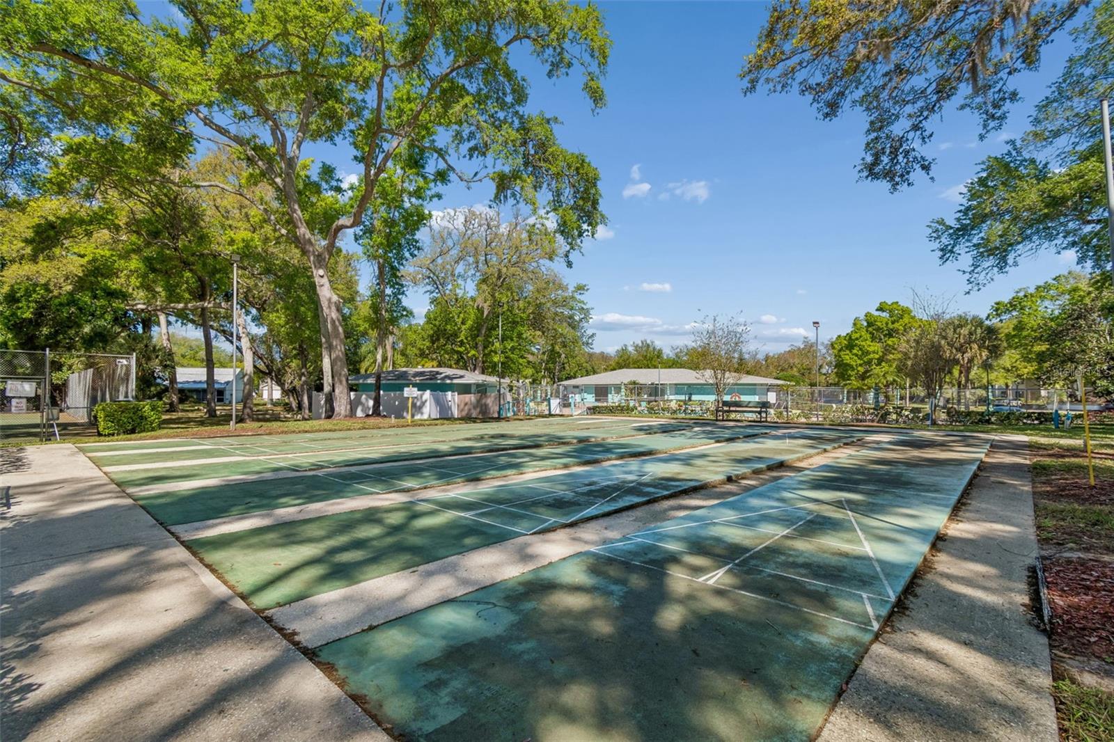 3300 FOX CHASE CIR N #202, PALM HARBOR, FL, 34683