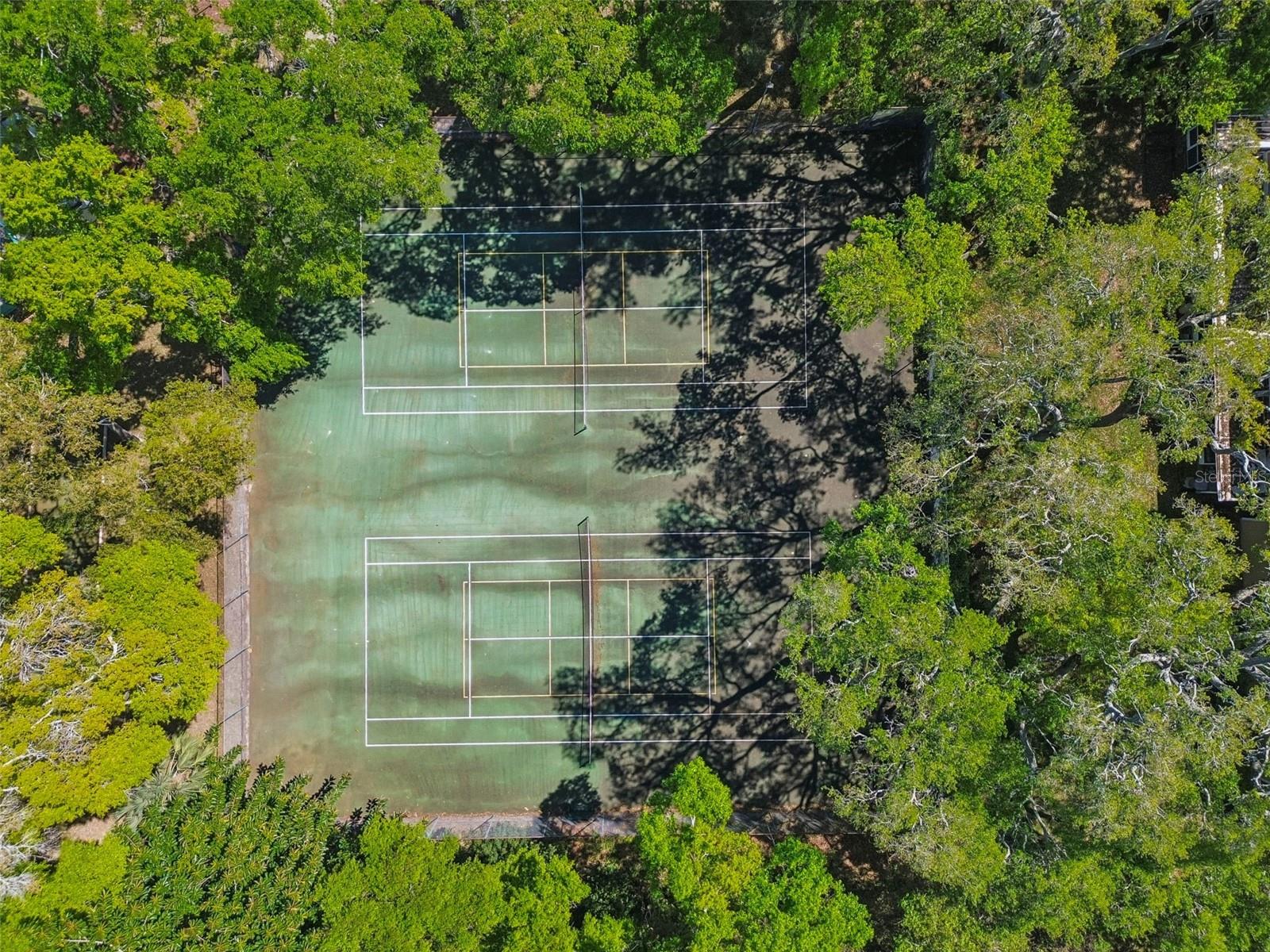 3300 FOX CHASE CIR N #202, PALM HARBOR, FL, 34683