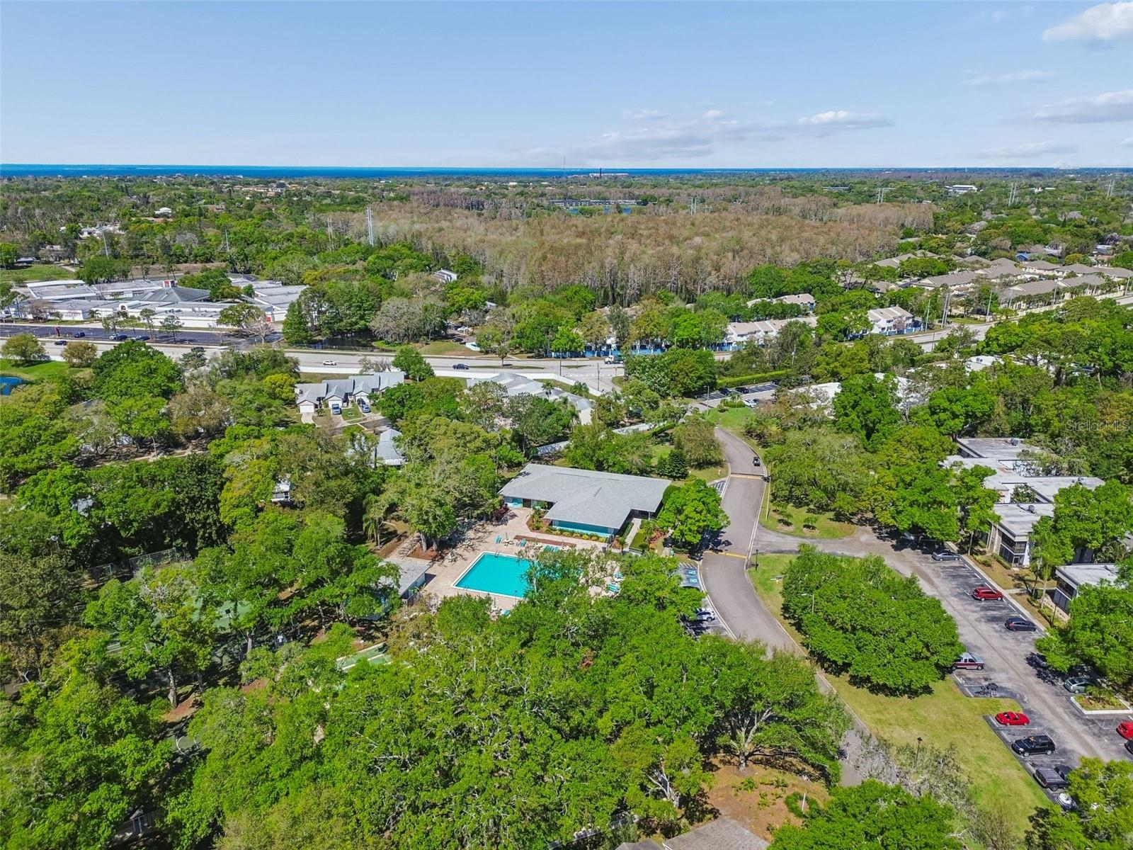 3300 FOX CHASE CIR N #202, PALM HARBOR, FL, 34683