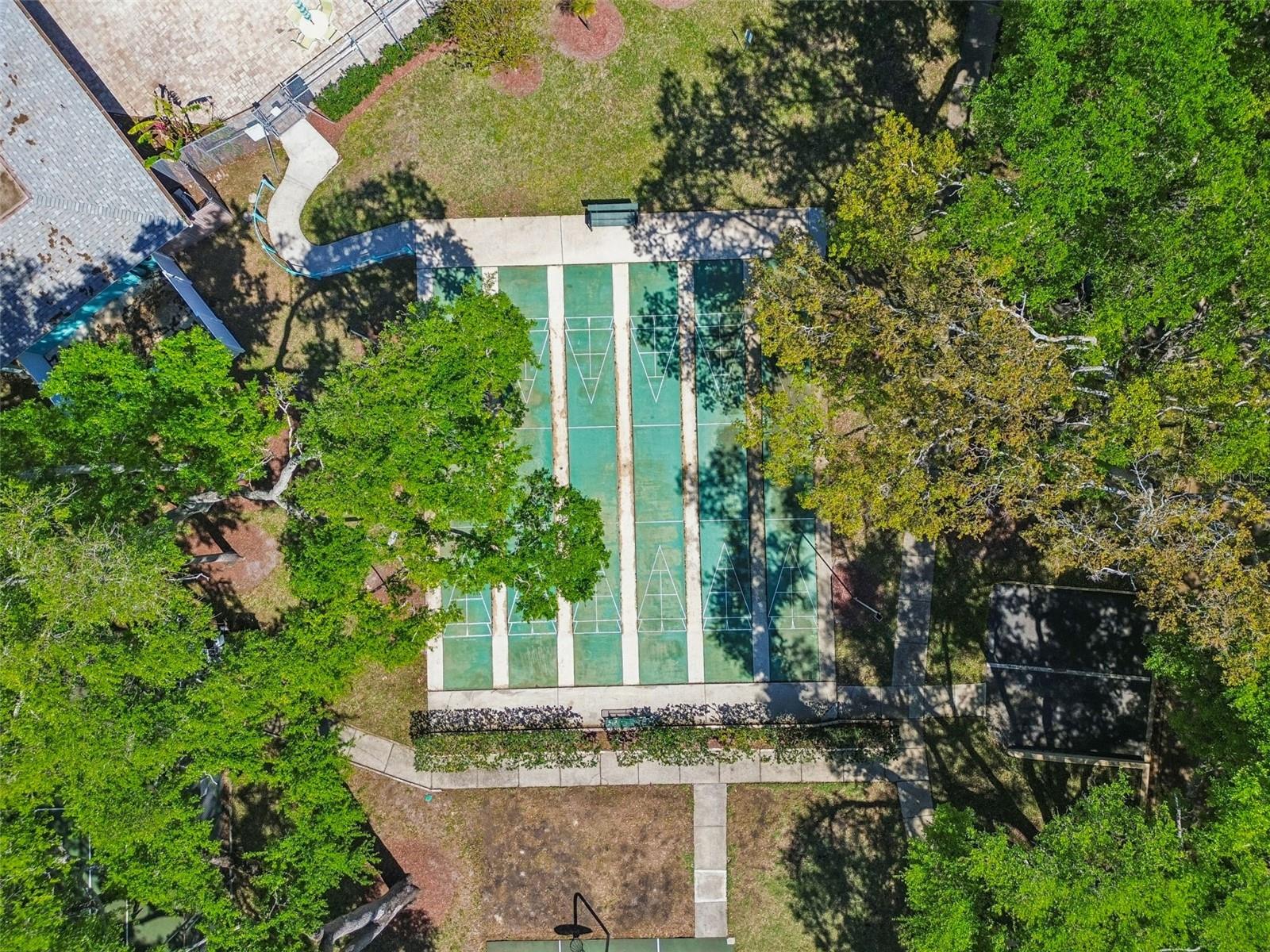 3300 FOX CHASE CIR N #202, PALM HARBOR, FL, 34683