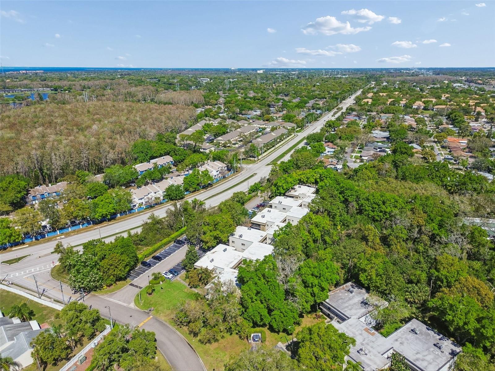 3300 FOX CHASE CIR N #202, PALM HARBOR, FL, 34683