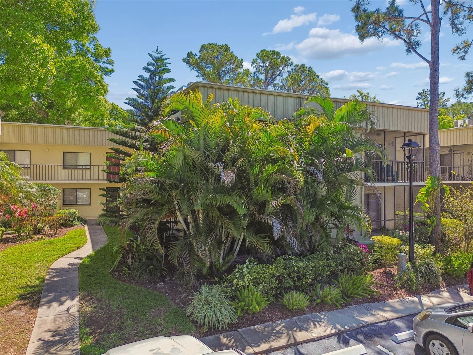 3300 FOX CHASE CIR N #202, PALM HARBOR, FL, 34683