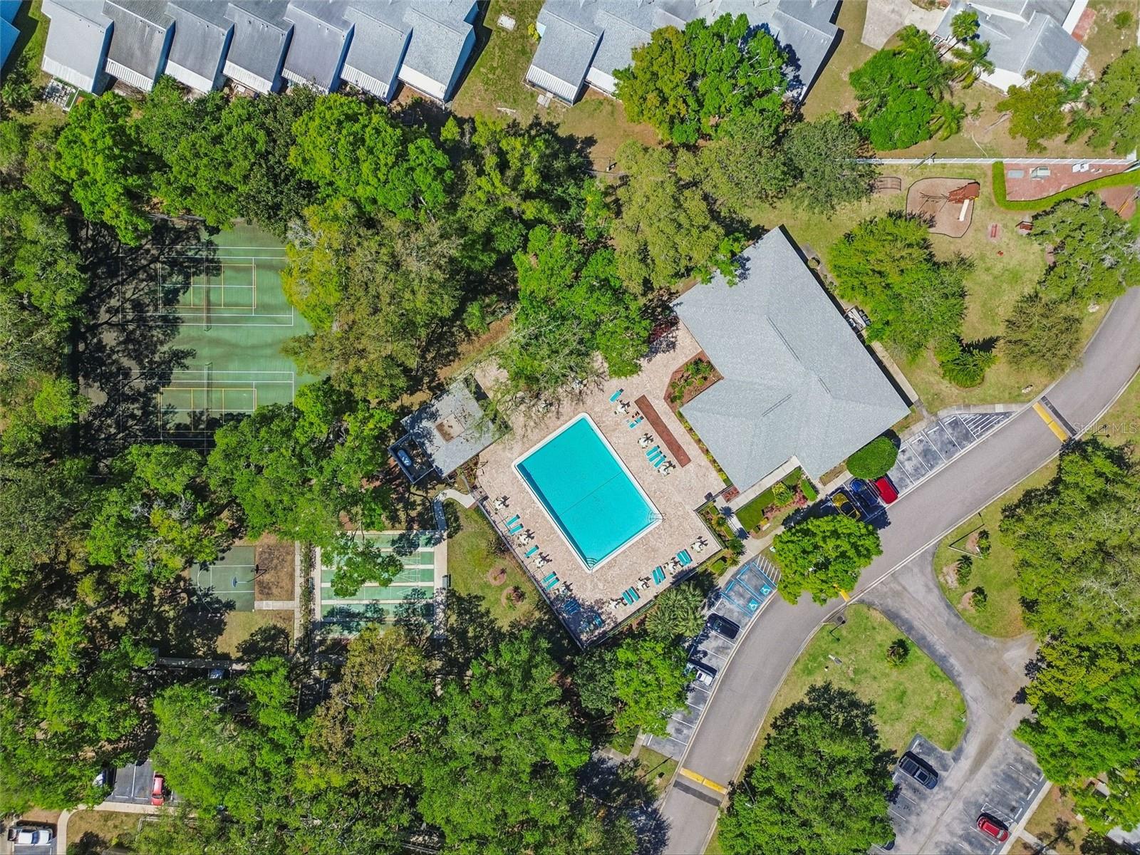 3300 FOX CHASE CIR N #202, PALM HARBOR, FL, 34683