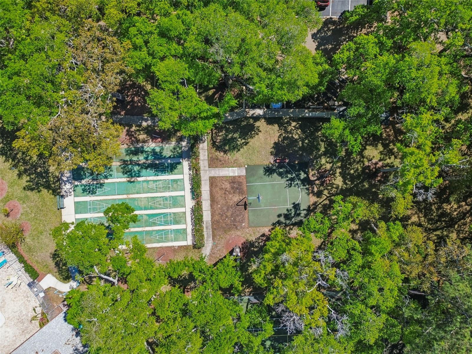 3300 FOX CHASE CIR N #202, PALM HARBOR, FL, 34683