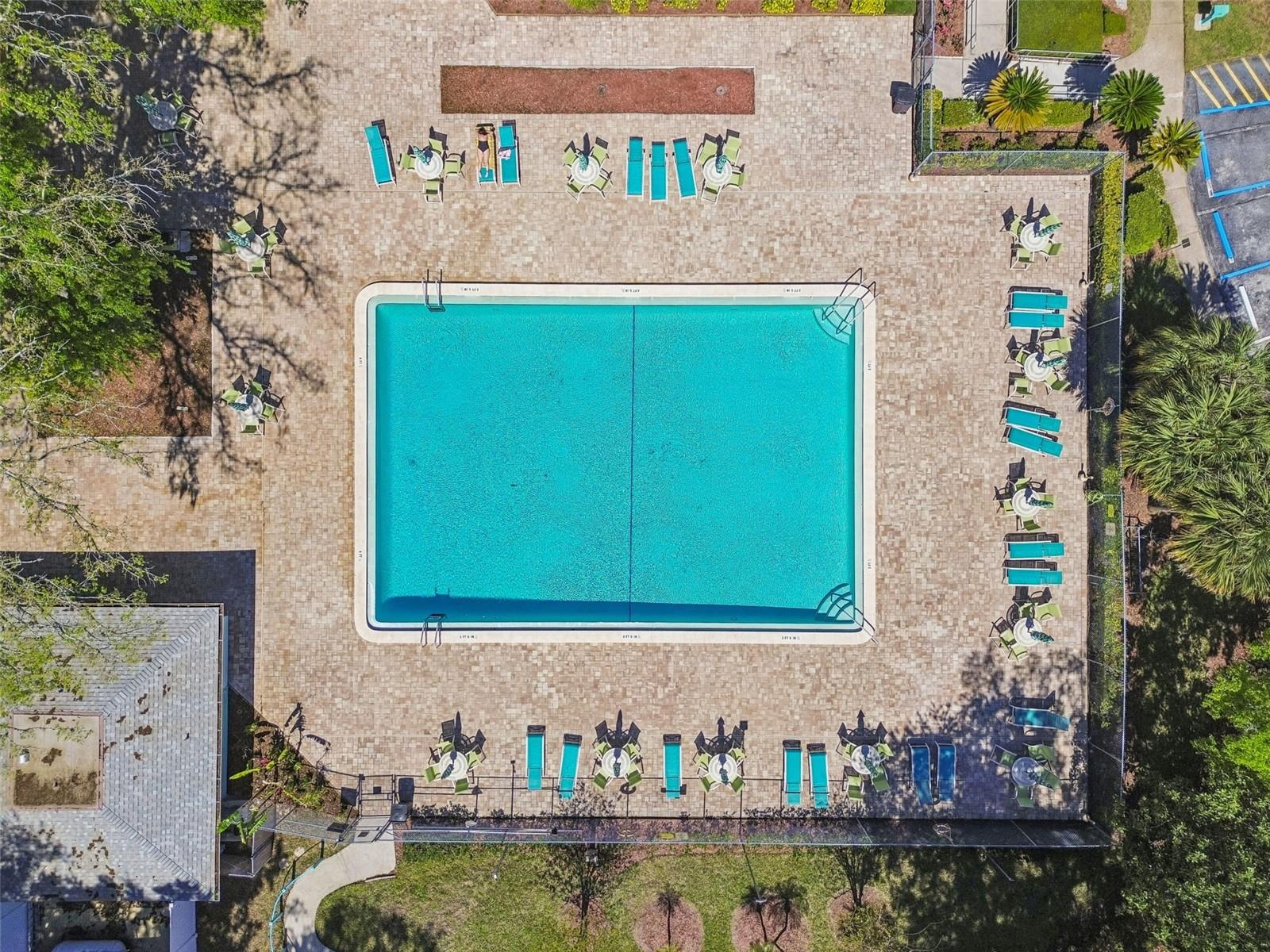 3300 FOX CHASE CIR N #202, PALM HARBOR, FL, 34683