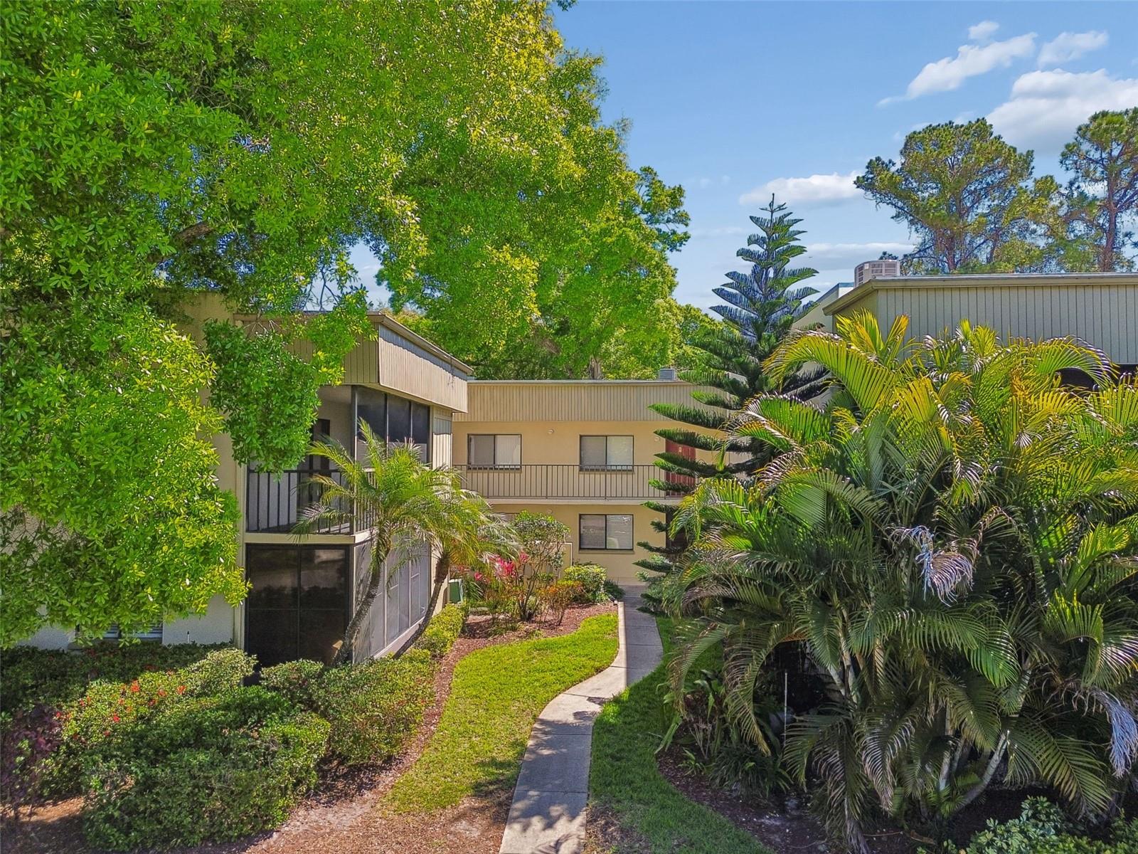 3300 FOX CHASE CIR N #202, PALM HARBOR, FL, 34683