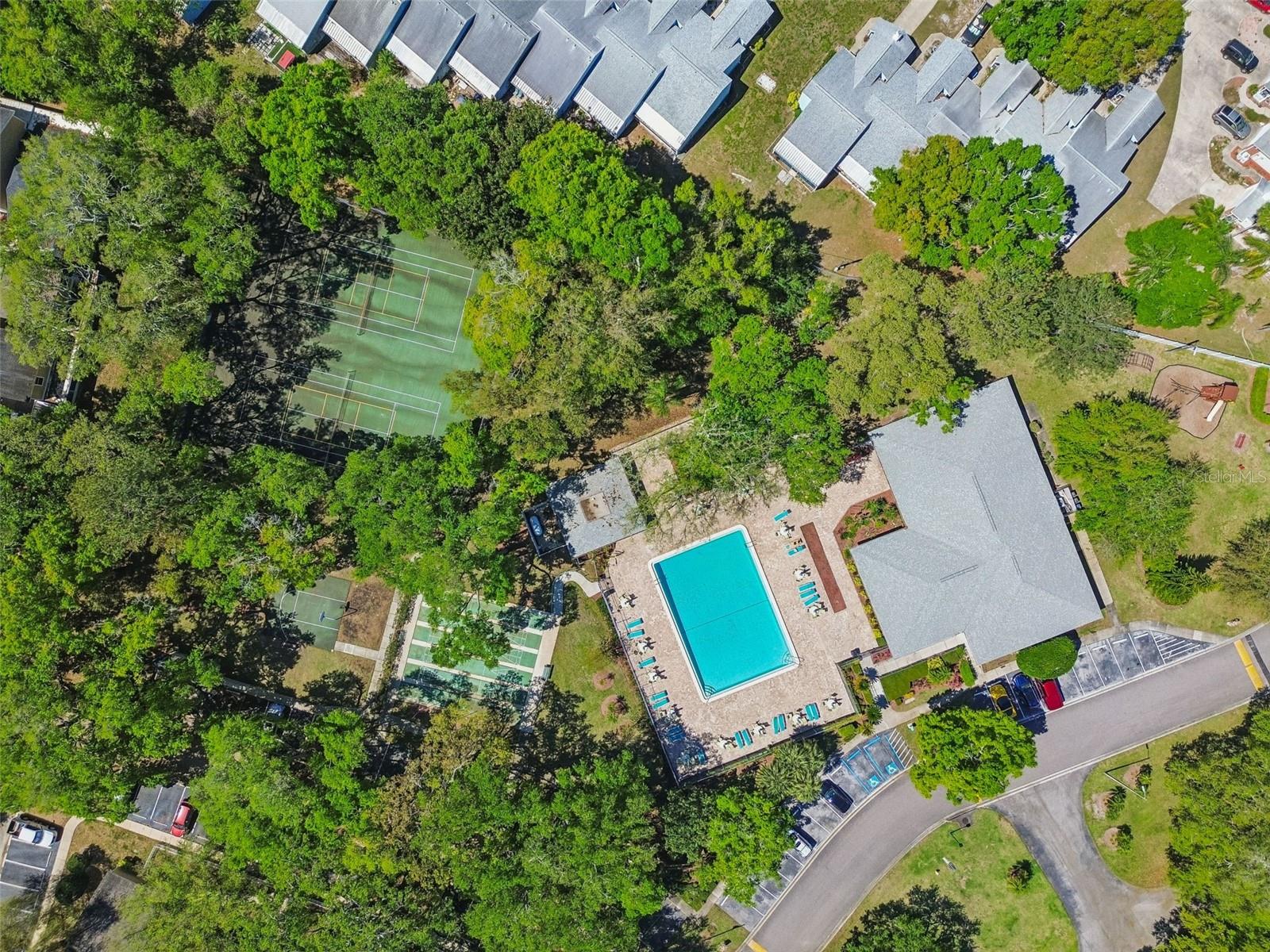 3300 FOX CHASE CIR N #202, PALM HARBOR, FL, 34683