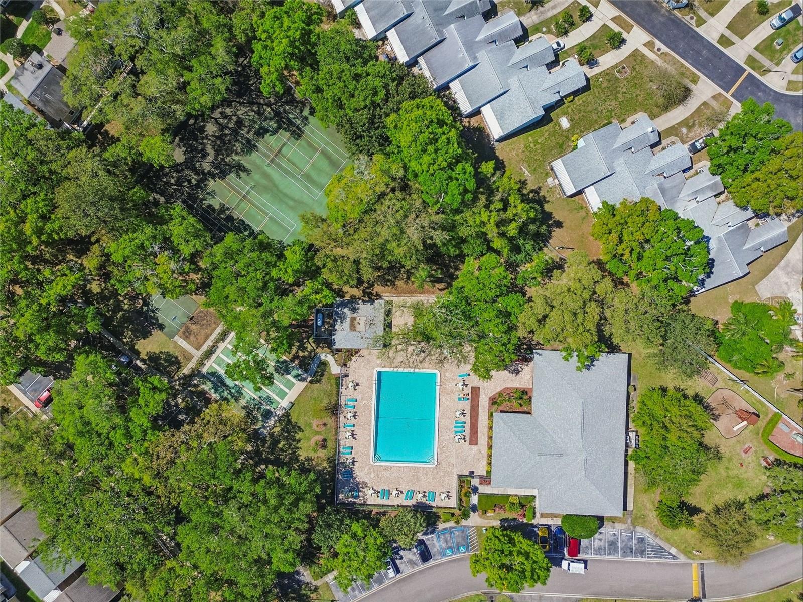 3300 FOX CHASE CIR N #202, PALM HARBOR, FL, 34683