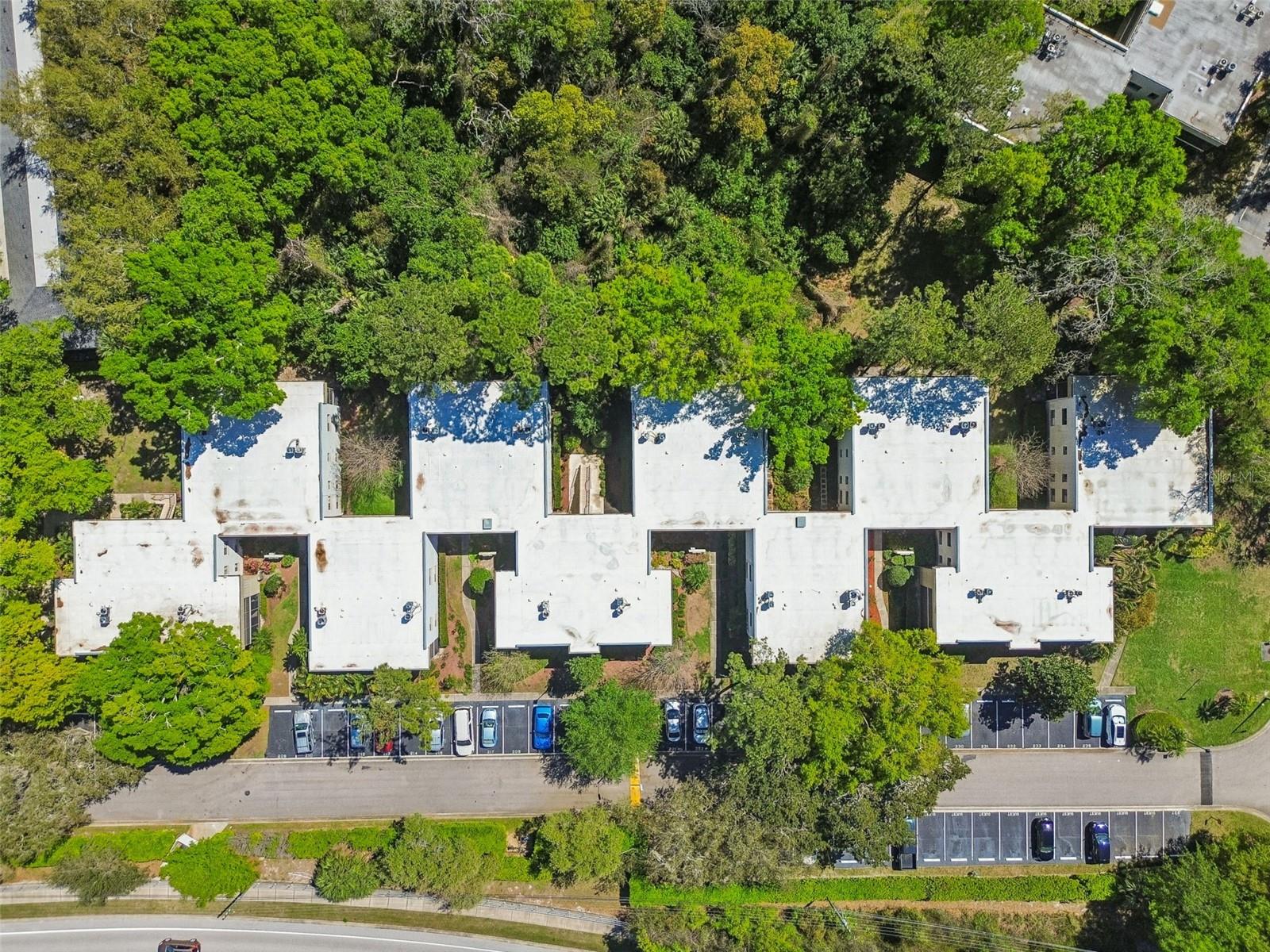 3300 FOX CHASE CIR N #202, PALM HARBOR, FL, 34683